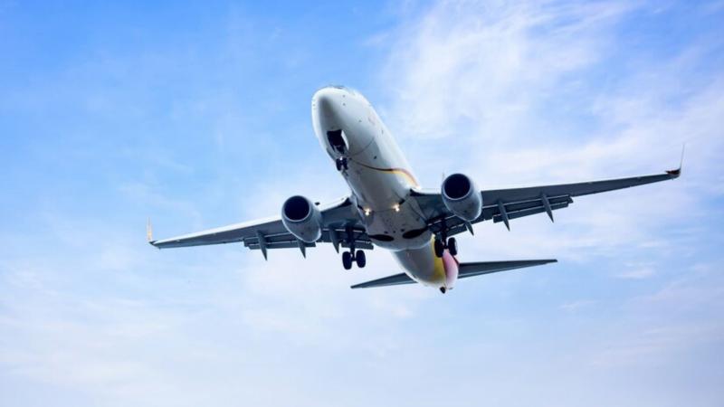 Benefícios do Transportador Aéreo para Cargas